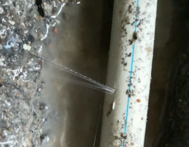 麻阳测漏水哪家好