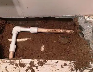 麻阳测漏水哪家好