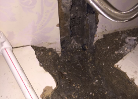 麻阳卫生间测漏水哪家好