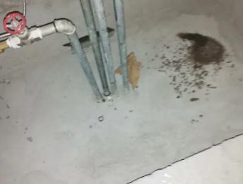 麻阳卫生间测漏水价格明细