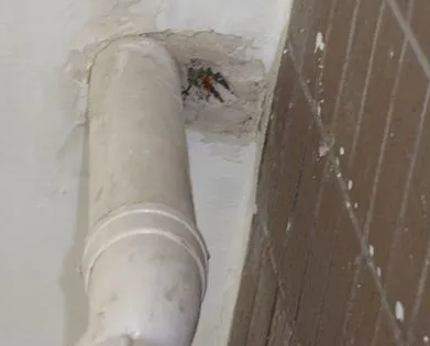 麻阳漏水检测哪家好